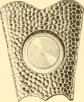 Picture 154 of 193 from Illustrated price list of artists' materials : comprising a complete list of painting and drawing materials for artists... materials for gilders, sign and coach-painters; etcher's and engravers' tools; also, materials for making wax and paper flowers. (1888), leaf 208