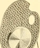 Picture 155 of 193 from Illustrated price list of artists' materials : comprising a complete list of painting and drawing materials for artists... materials for gilders, sign and coach-painters; etcher's and engravers' tools; also, materials for making wax and paper flowers. (1888), leaf 208