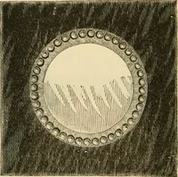 Picture 185 of 193 from Illustrated price list of artists' materials : comprising a complete list of painting and drawing materials for artists... materials for gilders, sign and coach-painters; etcher's and engravers' tools; also, materials for making wax and paper flowers. (1888), leaf 241