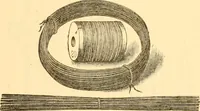 Picture 186 of 193 from Illustrated price list of artists' materials : comprising a complete list of painting and drawing materials for artists... materials for gilders, sign and coach-painters; etcher's and engravers' tools; also, materials for making wax and paper flowers. (1888), leaf 280