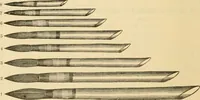 Picture 48 of 193 from Illustrated price list of artists' materials : comprising a complete list of painting and drawing materials for artists... materials for gilders, sign and coach-painters; etcher's and engravers' tools; also, materials for making wax and paper flowers. (1888), leaf 73