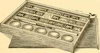 Picture 68 of 193 from Illustrated price list of artists' materials : comprising a complete list of painting and drawing materials for artists... materials for gilders, sign and coach-painters; etcher's and engravers' tools; also, materials for making wax and paper flowers. (1888), leaf 98