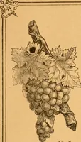 An illustration from Illustrated price list of patented artificial wood ornaments for furniture manufacturers, architects, builders, interior decorators, stair builders, car builders, organ manufacturers, steamboat builders, etc, etc. (1879)