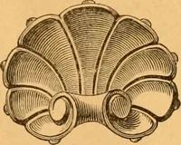 An illustration from Illustrated price list of patented artificial wood ornaments for furniture manufacturers, architects, builders, interior decorators, stair builders, car builders, organ manufacturers, steamboat builders, etc, etc. (1879)