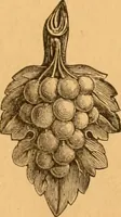 An illustration from Illustrated price list of patented artificial wood ornaments for furniture manufacturers, architects, builders, interior decorators, stair builders, car builders, organ manufacturers, steamboat builders, etc, etc. (1879)