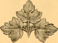 An illustration from Illustrated price list of patented artificial wood ornaments for furniture manufacturers, architects, builders, interior decorators, stair builders, car builders, organ manufacturers, steamboat builders, etc, etc. (1879)