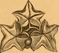 An illustration from Illustrated price list of patented artificial wood ornaments for furniture manufacturers, architects, builders, interior decorators, stair builders, car builders, organ manufacturers, steamboat builders, etc, etc. (1879)