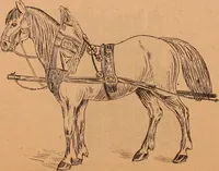An illustration from Illustrated sample book & price list of Palm's patent transfer letters, ornaments & trade designs for signs, wagons, cars, machines, etc. (1901)