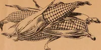 An illustration from Illustrated sample book & price list of Palm's patent transfer letters, ornaments & trade designs for signs, wagons, cars, machines, etc. (1901)