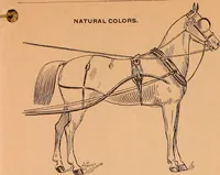 Picture 147 of 159 from Illustrated sample book & price list of Palm's patent transfer letters, ornaments & trade designs for signs, wagons, cars, machines, etc. (1901), leaf 50