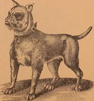 An illustration from Illustrated sample book & price list of Palm's patent transfer letters, ornaments & trade designs for signs, wagons, cars, machines, etc. (1901)