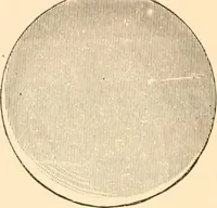An illustration from Illustrated trade price list of artists' materials. (1886)