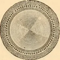 An illustration from Illustrated trade price list of artists' materials. (1886)