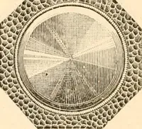 An illustration from Illustrated trade price list of artists' materials. (1886)
