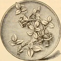 An illustration from Illustrated trade price list of artists' materials. (1886)