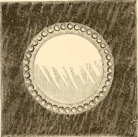 An illustration from Illustrated trade price list of artists' materials. (1886)