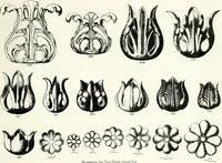 An illustration from Illustrating light iron pressed rosettes, cups, husks, leaves, roses and various ornaments used on lamps and lighting fixtures ... (1922)