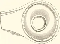 An illustration from Illustrations of the remains of Roman art, in Cirencester, the site of antient Corinium (1850)
