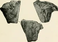An illustration from Illustrations of school classics, arranged and described (1903)