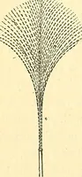 An illustration from Illustrations of the theory and practice of ventilation : with remarks on warming, exclusive lighting, and the communication of sound (1844)