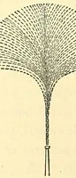 An illustration from Illustrations of the theory and practice of ventilation : with remarks on warming, exclusive lighting, and the communication of sound (1844)