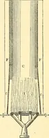 An illustration from Illustrations of the theory and practice of ventilation : with remarks on warming, exclusive lighting, and the communication of sound (1844)
