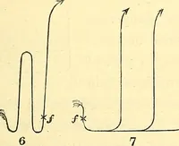 An illustration from Illustrations of the theory and practice of ventilation : with remarks on warming, exclusive lighting, and the communication of sound (1844)
