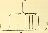 An illustration from Illustrations of the theory and practice of ventilation : with remarks on warming, exclusive lighting, and the communication of sound (1844)