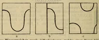 An illustration from Illustrierter ausführlicher katalog über deutsche postfreimarken (1896)