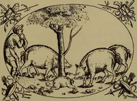 An illustration from Illustrirter Katalog der Ornamentstichsammlung des K. K. Österreich. Museums für Kunst und Industrie; Erwerbungen seit dem Jahre 1871 (1889)