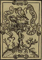 An illustration from Illustrirter Katalog der Ornamentstichsammlung des K. K. Österreich. Museums für Kunst und Industrie; Erwerbungen seit dem Jahre 1871 (1889)
