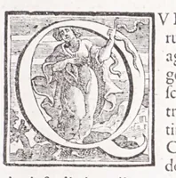 An illustration from Illustrium anachoretarum elogia, siue, Religiosi viri musaeum (1625)