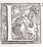 An illustration from Illustrium anachoretarum elogia, siue, Religiosi viri musaeum (1625)