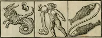 Picture 30 of 92 from Illvstratione de gli epitaffi et medaglie antiche (1558), leaf 69