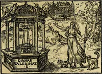 Picture 59 of 88 from Illvstratione de gli epitaffi et medaglie antiche (1558), leaf 122