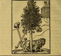 Picture 16 of 88 from Illvstratione de gli epitaffi et medaglie antiche (1558), leaf 37