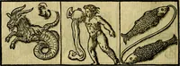 An illustration from Illvstratione de gli epitaffi et medaglie antiche (1558)