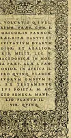 An illustration from Illvstratione de gli epitaffi et medaglie antiche (1558)