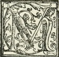 An illustration from Le imprese illvstri : con espositioni et discorsi (1572)