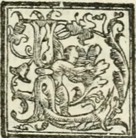 An illustration from Le imprese illvstri : con espositioni et discorsi (1572)