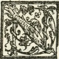 An illustration from Le imprese illvstri : con espositioni et discorsi (1572)