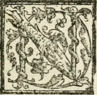 An illustration from Le imprese illvstri : con espositioni et discorsi (1572)