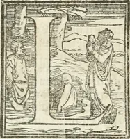 Picture 164 of 286 from Le imprese illvstri : con espositioni et discorsi (1572), leaf 447