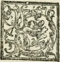 An illustration from Le imprese illvstri : con espositioni et discorsi (1572)
