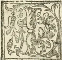 Picture 241 of 286 from Le imprese illvstri : con espositioni et discorsi (1572), leaf 606