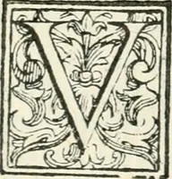An illustration from Le imprese illvstri : con espositioni et discorsi (1572)