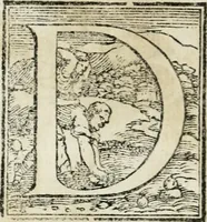 Picture 39 of 286 from Le imprese illvstri : con espositioni et discorsi (1572), leaf 95