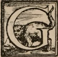 An illustration from Il Magno Vitei (1597)
