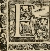An illustration from Il Magno Vitei (1597)