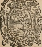 An illustration from Il Magno Vitei (1597)